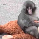 高市さんより絶対的に知名度高いパンチくん