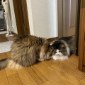 愛が深過ぎる