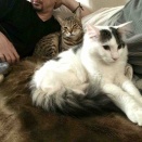 やっぱり、お父さんを取り合っちゃう？