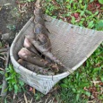 ニッキのＳｍａｒｔなＢｌｏｇ