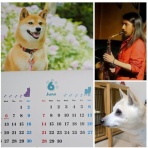 たそがれゴルファーのライブ情報