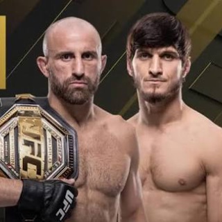MMA The Orange