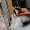 ハ〜ナクソ王子〜♪
