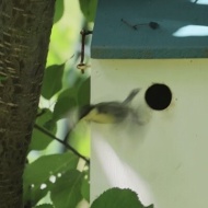 【夏の庭】新しい世界に踏み出す第一歩はいつも尊い！