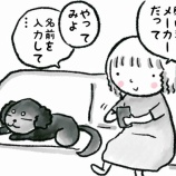 『願い事メーカー』の画像
