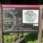 宮崎・鹿児島をうろうろするブログ since2010