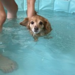 気ままに・・ひとりごと