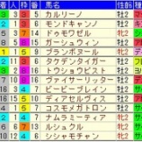 『【函館2歳S】見逃せない好走血統』の画像