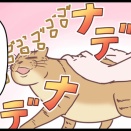猫は撫でれば撫でるほどこうなって・・・のまき
