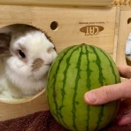 うのくらし