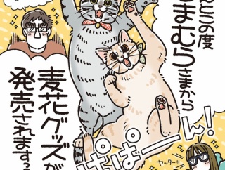 しまむらさまから麦花グッズが発売されるよ！
