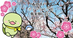 春の水戸!ホヌヌとスワ郎の「偕楽園」レポ!