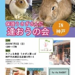 for the RABBIT【保護うさぎの里親探し】