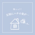 令和8年8月8日にハチの巣と格闘した話