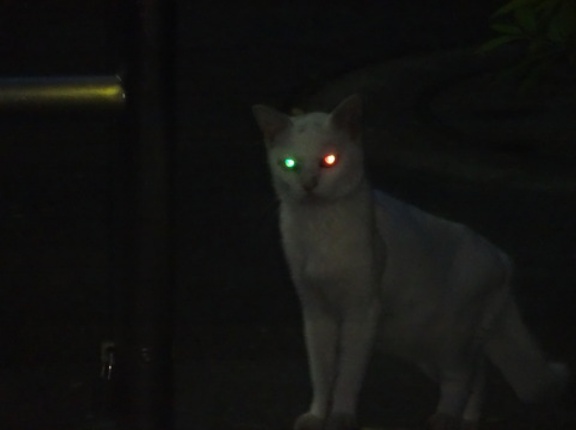 人生の分岐点の選択　20260117