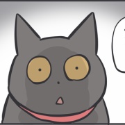 猫に好かれている夫と娘の戦い