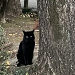 "見タイ”食べタイ”遊びタイ”