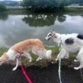 涼しい日。