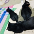 Yさんのお当番日記『雨の日だけじゃない』。