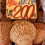 爆安！！ 鮮魚•青果販売 爆安の殿堂 道産魚工房   【どさんここうぼう】札幌市北区北24条西17丁目3-3 新川通沿い。