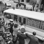 アンダマンナイト