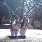 メロディ＆ミニーの写真館