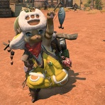 全てのヒカセンたちへ