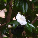 水曜日陶芸教室