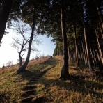 日本や世界や宇宙の動向