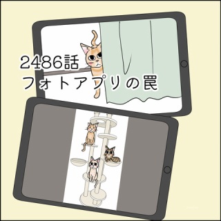 あんこと麦と