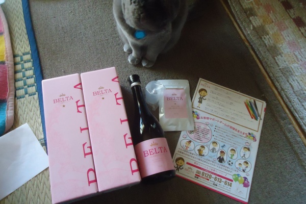 ダイエットクラブ ダイエット