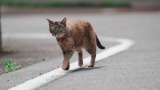 独身30代の休み、じわじわとすることがなくなるｗｗ