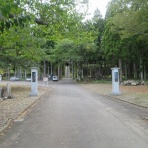 くぐる鳥居は鬼ばかり