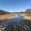 なぜか走ってるときは花粉症でない高崎ジョグ19.9km 934kcal