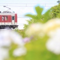 東武鉄道10050系@11267編成（紫陽花）