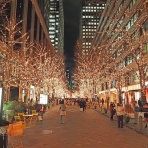 東京坂道さんぽ