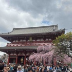 和を着る。楽しむ。はんなりのブログ