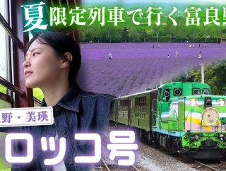 北海道・富良野の絶景へ！夏限定の列車でラベンダーを見に行く🪻富良野・美瑛ノロッコ号｜ファーム富田