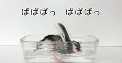 先生という職業
