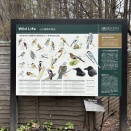 バラクラの野鳥観察会に参加♪