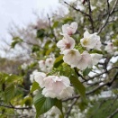 13日間のロングツアー→河口湖〜箱根FIT後の身体疲労と回復プロセスについて