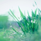 『喉がイガイガしてきた』の画像