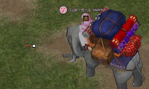 アブネア地域のミニマップがバグって移動が不便ヽ(ﾟ∀｡)ﾉ