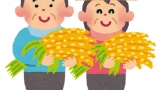米農家ワイ、ついに今年の稲刈りを始める