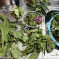 手前味噌創りや野草酵素　 スキンケアにも活用