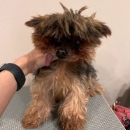 あと何回？って考えちゃった…