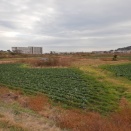 久之浜ポート 2025.12.20 (その37)