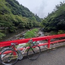 ミトコンドリアン　ライド