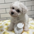 かわい子ちゃん💗