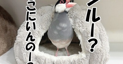 騒音問題、勃発中